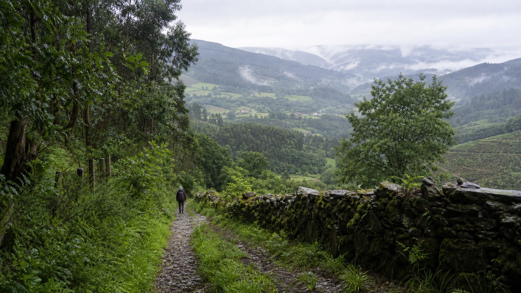 Senda rural húmeda del Camino del Norte en un valle verde de Galicia