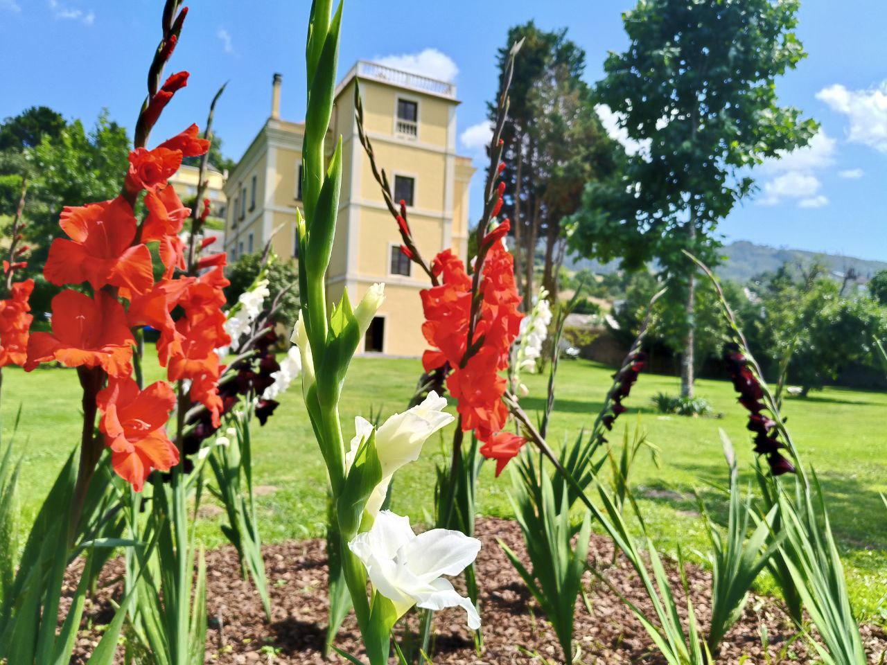 Jardín de Santa Emilia con flores y fachada histórica